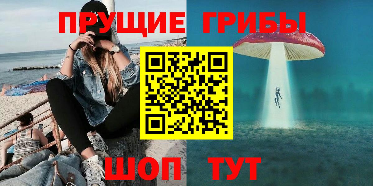 купить   Пенза  Галлюциногенные грибы GOLDEN TEACHER  Псилоцибиновые грибы Cubensis 