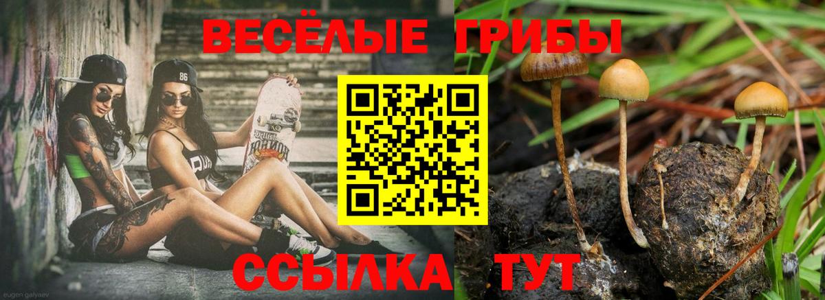 Псилоцибиновые грибы Psilocybine cubensis  Вход с VPN  Пенза 