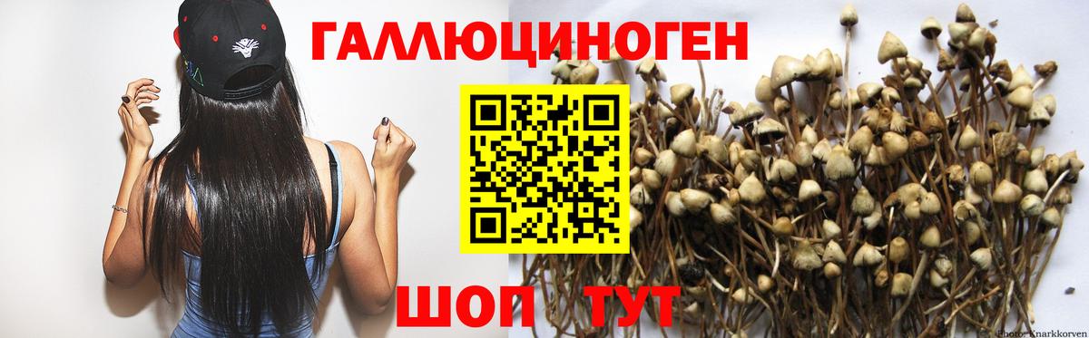 Псилоцибиновые грибы MAGIC MUSHROOMS Пенза